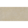 CORAL STONE ARENA MAT 60X120 REKT. GAT.1 (P.73283)