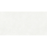 TERRA VIVA BLANCO MAT 60X120 REKT. GAT.1 (P.74105)