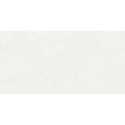 TERRA VIVA BLANCO MAT 60X120 REKT. GAT.1 (P.74105)