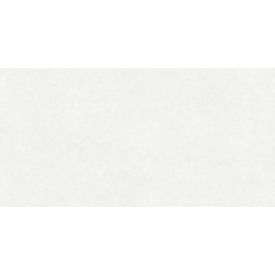TERRA VIVA BLANCO MAT 60X120 REKT. GAT.1 (P.74105)