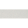 COLORLINE BLANCO MAT 31,5X100 REKT. GAT.1 (P.73361)