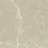 DIVERSO BEIGE MAT 60X60 REKT. GAT.1 (P.73527)