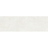 CATANIA BLANCO MAT 31,5X100 REKT. GAT.1 (P.73351)