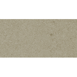 TERRA VIVA OCRE MAT 30X60 REKT. GAT.1 (P.74001)