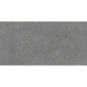 NORDBY CENIZA MAT 60X120 REKT. GAT.1 (P.74065)