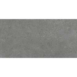 NORDBY CENIZA MAT 60X120 REKT. GAT.1 (P.74065)