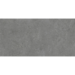 NORDBY CENIZA MAT 60X120 REKT. GAT.1 (P.74065)