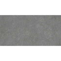 NORDBY CENIZA MAT 60X120 REKT. GAT.1 (P.74065)
