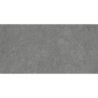 NORDBY CENIZA MAT 60X120 REKT. GAT.1 (P.74065)