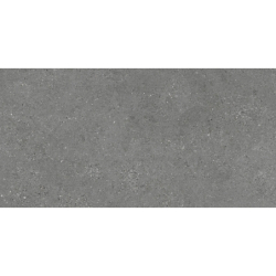 NORDBY CENIZA MAT 60X120 REKT. GAT.1 (P.74065)