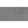NORDBY CENIZA MAT 60X120 REKT. GAT.1 (P.74065)