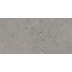 ISEO STONE GRIS MAT 30X60 REKT. GAT.1 (P.73877)