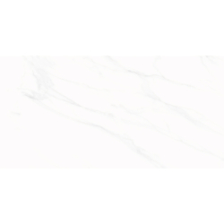 BLANCO THASSOS MAT 60X120 REKT. GAT.1 (P.73759)