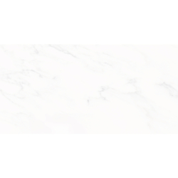 BLANCO THASSOS MAT 60X120 REKT. GAT.1 (P.73759)