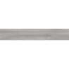 ALVARAL CLEAR GRIS MAT 20X120 REKT. GAT.1 (P.73551)