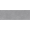 NEW ROYAL PULPIS GRIS 31,5X100 REKT. GAT.1 (P.74301)