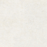 CORAL STONE BLANCO MAT 60X60 GAT.1 (P.73311)