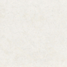 CORAL STONE BLANCO MAT 60X60 GAT.1 (P.73311)