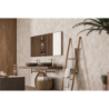 ANDES IVORY MAT 40X62 GAT.1 (P.72413)