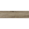 ARENDAL ROBLE IMN MAT 30X120 REKT. GAT.1 (P.73687)