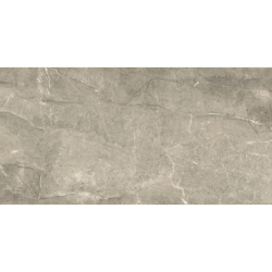 DIVERSO PARDO MAT 60X120...