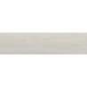 ARENDAL BLANCO IMN MAT 30X120 REKT. GAT.1 (P.73685)