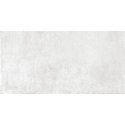CAPITOL BLANCO MAT 60X120...