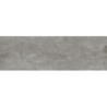 PORTOBELLO GRIS MAT 31,5X100 REKT. GAT.1 (P.73907)