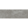 PORTOBELLO GRIS MAT 31,5X100 REKT. GAT.1 (P.73907)