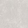 OLIMPIA GRIS MAT 60X60 REKT. GAT.1 (P.74329)