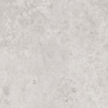OLIMPIA GRIS MAT 60X60 REKT. GAT.1 (P.74329)