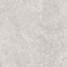 OLIMPIA GRIS MAT 60X60 REKT. GAT.1 (P.74329)