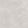 OLIMPIA GRIS MAT 60X60 REKT. GAT.1 (P.74329)