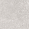OLIMPIA GRIS MAT 60X60 REKT. GAT.1 (P.74329)