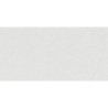 DECON BLANCO MAT 31,5X100 REKT. GAT.1 (P.73393)