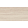 WESTON LINE BEIGE MAT 60X120 REKT. GAT.1 (P.73235)