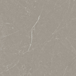 LIVORNO TOPO MAT 60X60 GAT.1 (P.74191)
