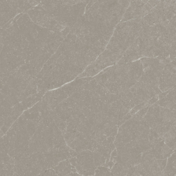 LIVORNO TOPO MAT 60X60 GAT.1 (P.74191)