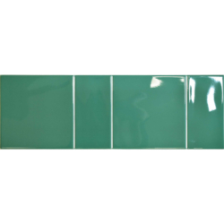 CAPRI GARDEN POŁYSK 15X45...