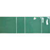 CAPRI GARDEN POŁYSK 15X45 GAT.1 (P.72555)