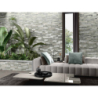 RIOJA SILVER METALIZOWANA 31X56 GAT.1 (P.72717)