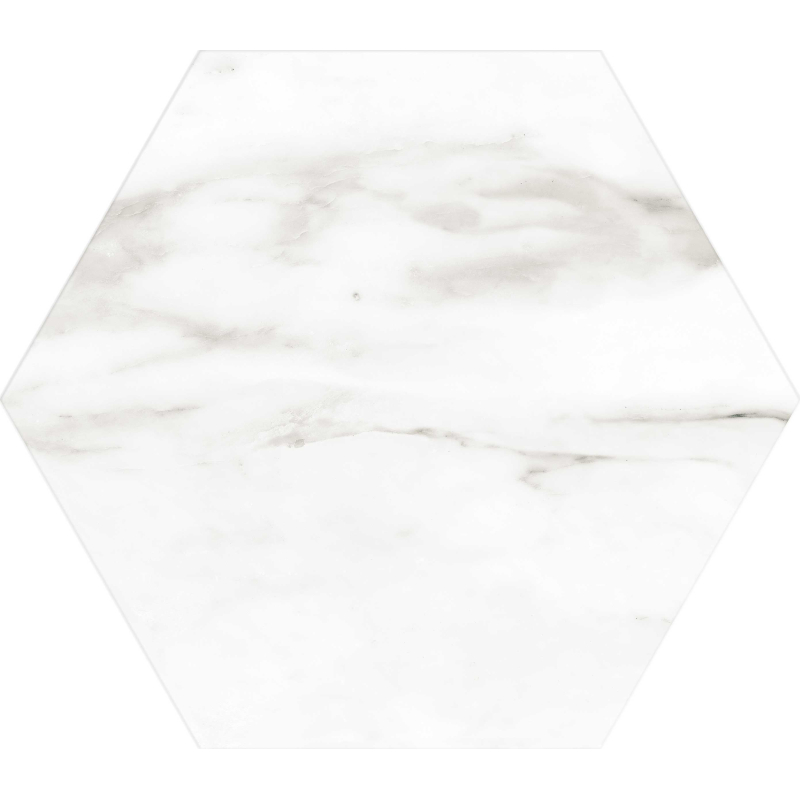 VENATO SATYNA 28,5X33 GAT.1 (P.72789)