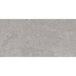 NORTH STONE GRIS MAT 30X60 REKT. GAT.1 (P.74307)