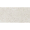 ISEO STONE ARENA MAT 60X120 REKT. GAT.1 (P.73899)