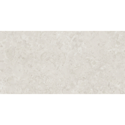 ISEO STONE ARENA MAT 60X120 REKT. GAT.1 (P.73899)