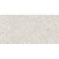 ISEO STONE ARENA MAT 60X120 REKT. GAT.1 (P.73899)