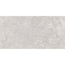 OLIMPIA GRIS MAT 30X60 REKT. GAT.1 (P.74325)