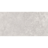 OLIMPIA GRIS MAT 30X60 REKT. GAT.1 (P.74325)