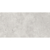 OLIMPIA GRIS MAT 30X60 REKT. GAT.1 (P.74325)