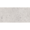 OLIMPIA GRIS MAT 30X60 REKT. GAT.1 (P.74325)
